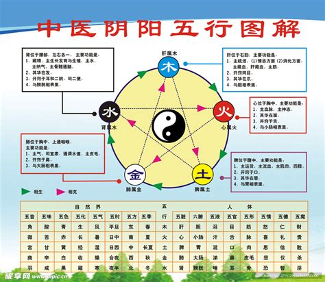 八卦五行对应|易经八卦基础——八卦与五行关系篇